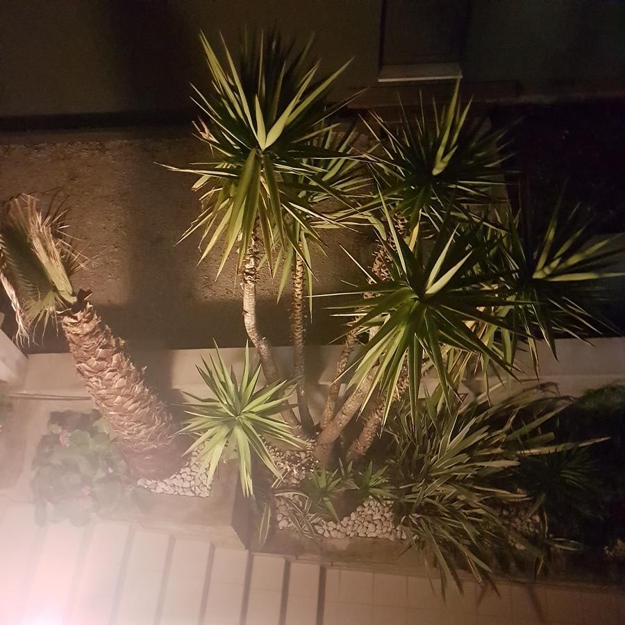 Jelena Appartement Zadar