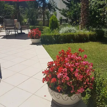 Villa Jelena Zadar Extérieur photo